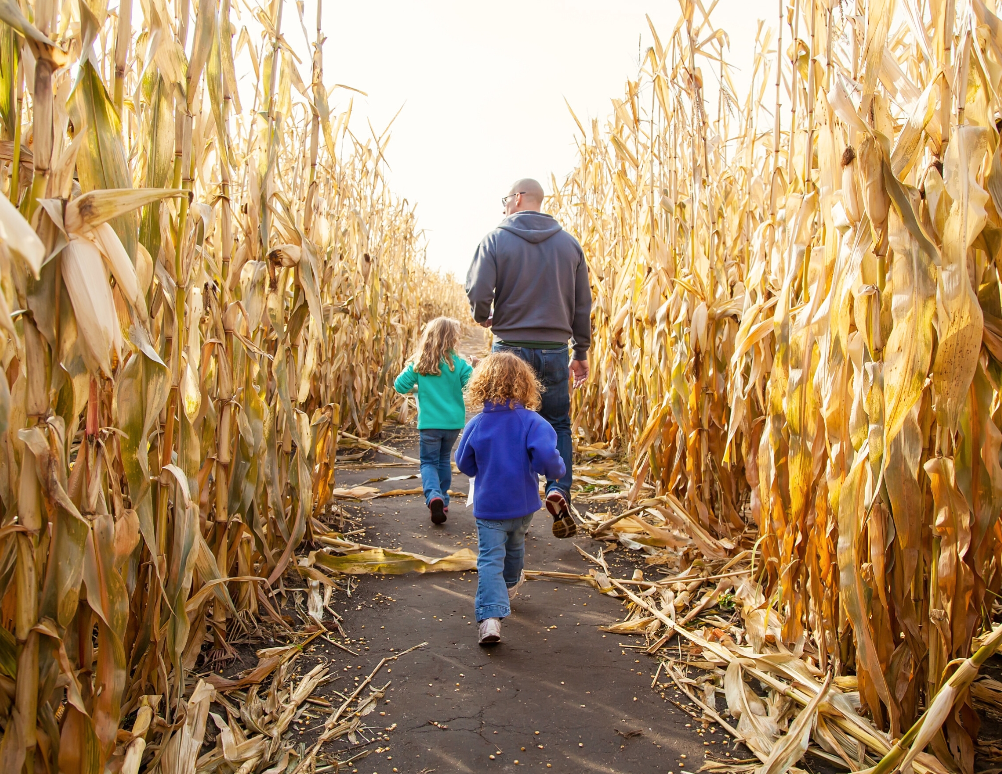 Molnar's Pumpkin Festival 2024