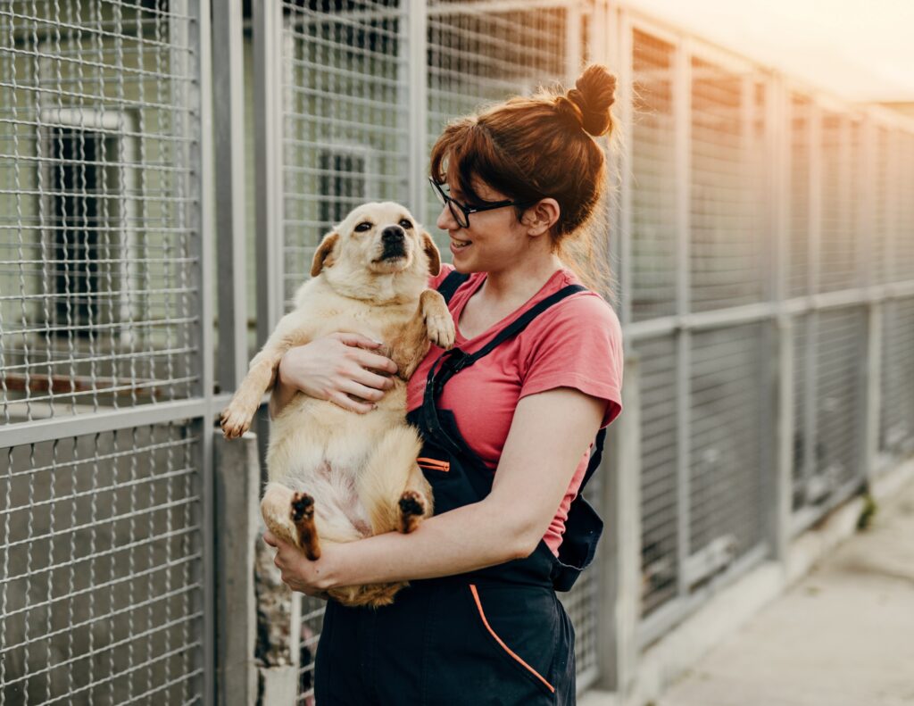 Lethbridge animal rescue